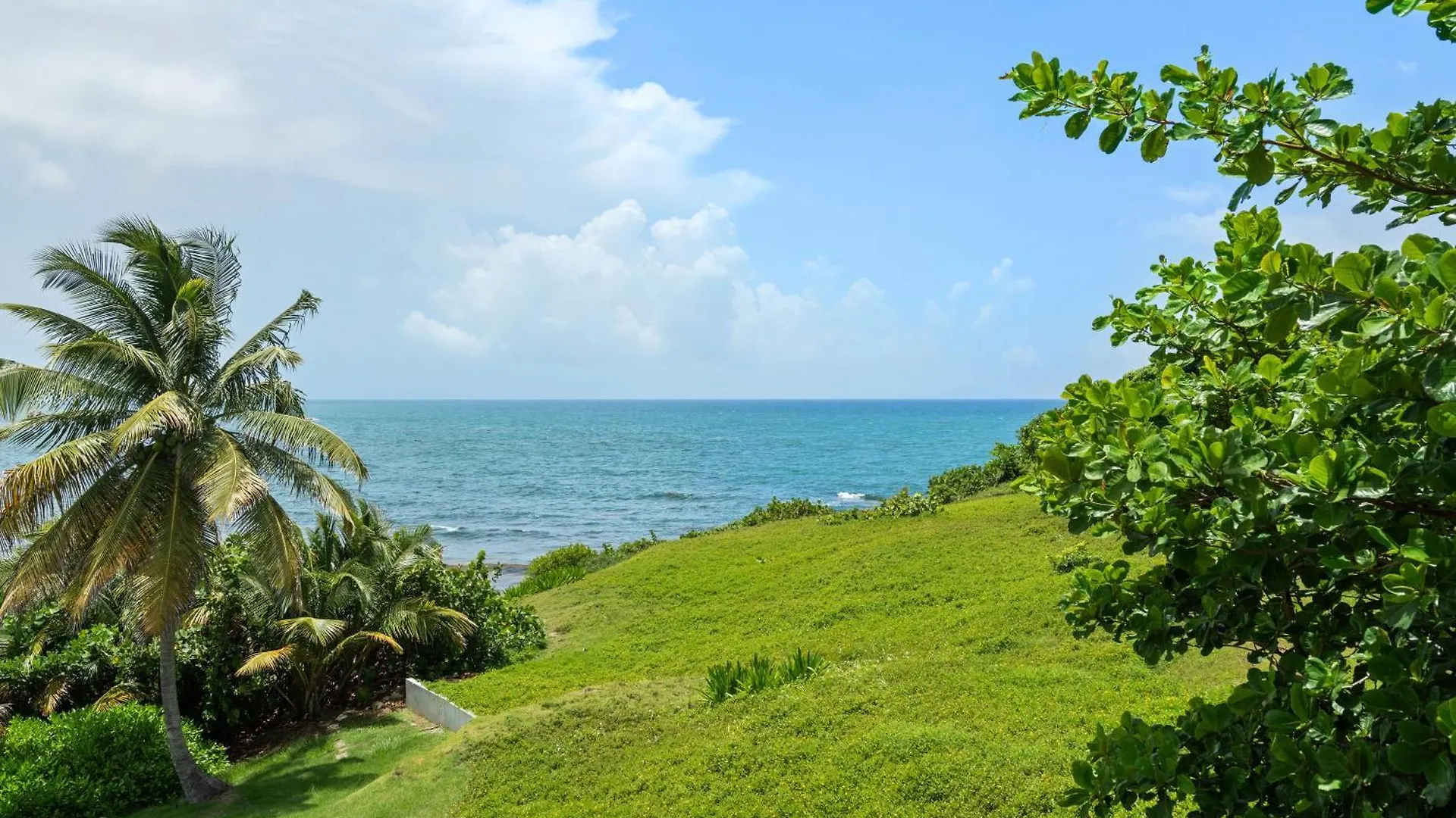 Olive Villa Palmas - Modern Beachfront ウマカオ