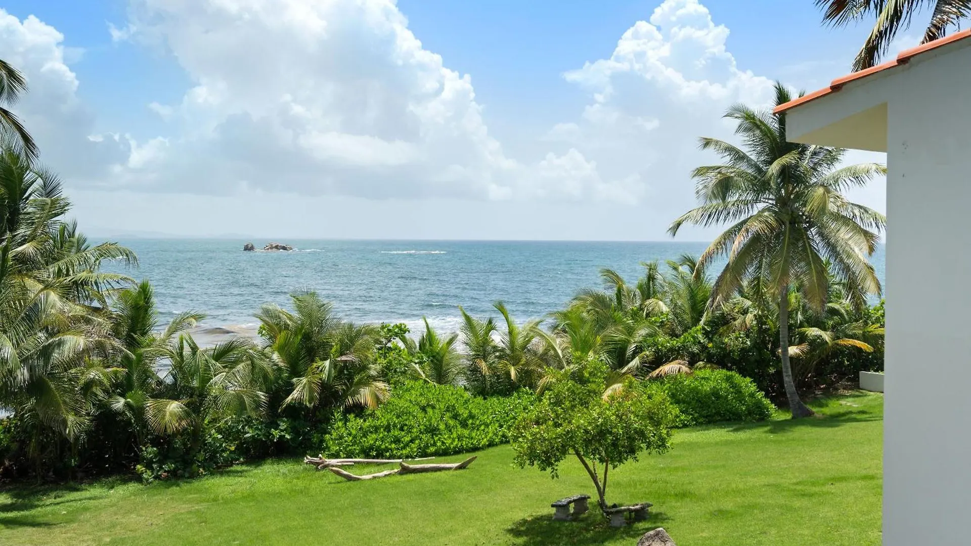 Olive Villa Palmas - Modern Beachfront ウマカオ