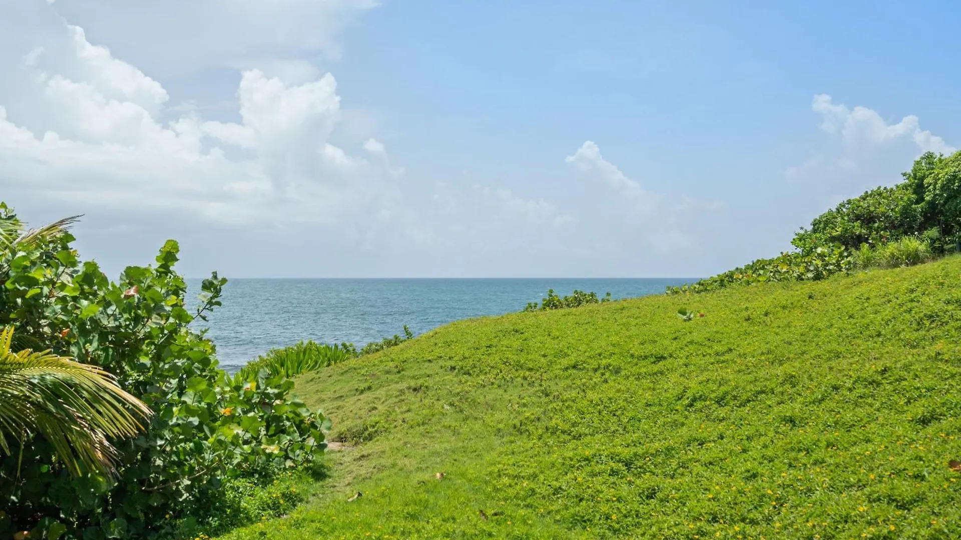 Olive Villa Palmas - Modern Beachfront ウマカオ
